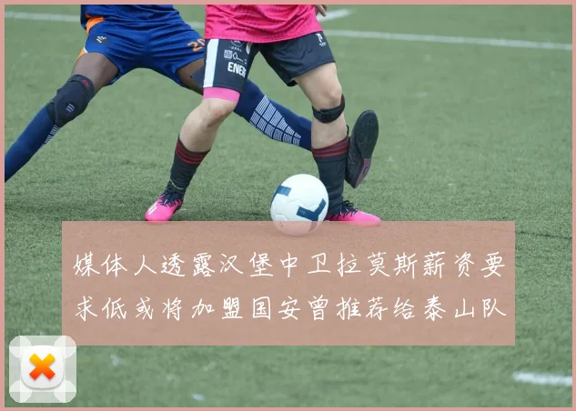 媒体人透露汉堡中卫拉莫斯薪资要求低或将加盟国安曾推荐给泰山队