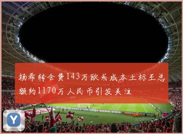杨希转会费143万欧或成本土标王总额约1170万人民币引发关注