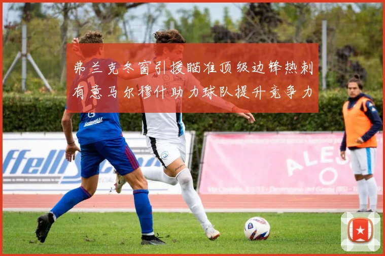 弗兰克冬窗引援瞄准顶级边锋热刺有意马尔穆什助力球队提升竞争力